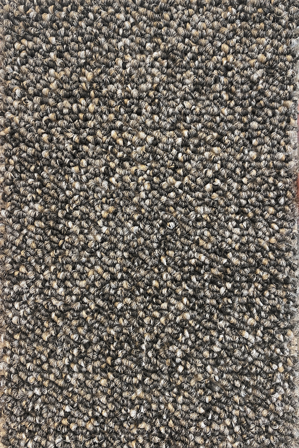 Ковровое покрытие "Bonkeel" Nero 97 (ширина 4м) — купить в Саратове