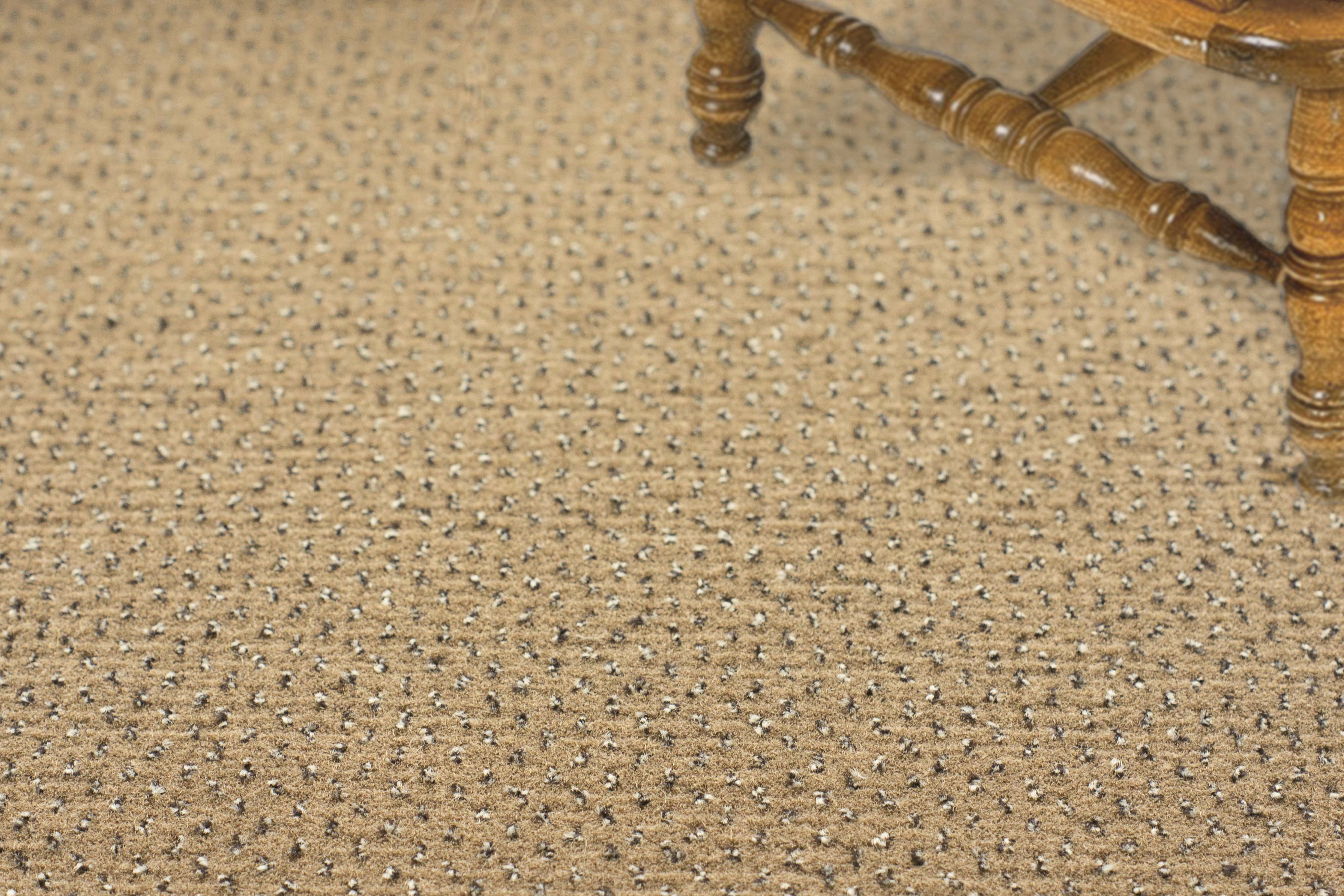 Ковролин "Зартекс" Eternity 142 бежевый (4м) — купить в Саратове